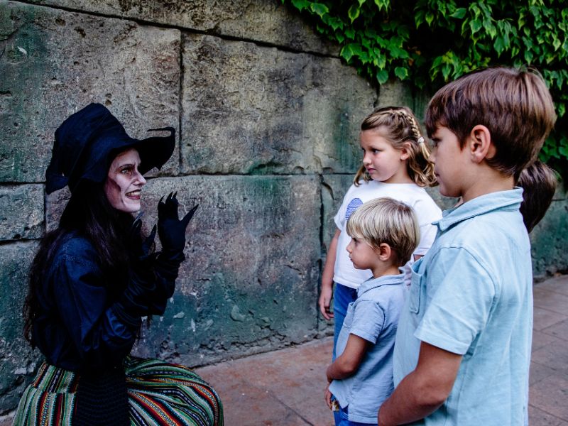 Proyecto El Castillo Misterioso - Espectáculo familiar · Producción escénica por TPT Eventos